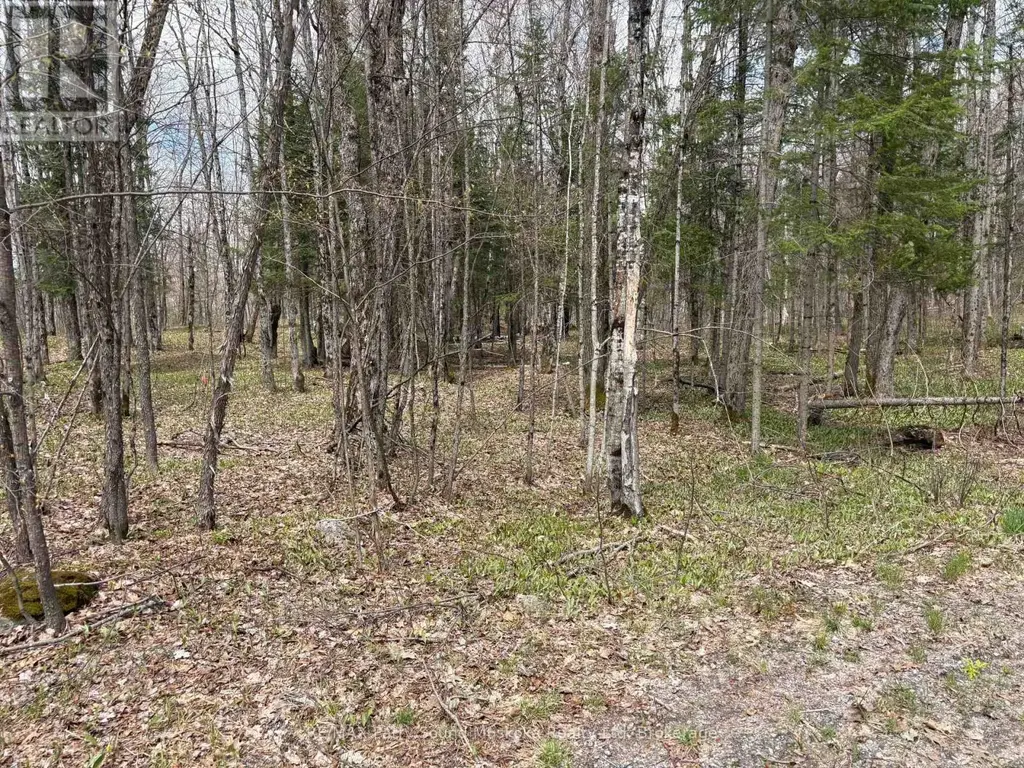0 Dauncey Road, Magnetawan (Spence)